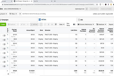 facebook meta manager screenshot showing high roas and statistics